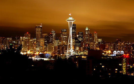 Seattle Skyline Wall Mural