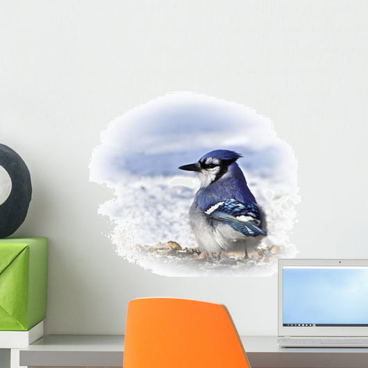 Blue Jay Wall Mural