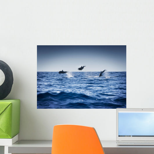Dolphins Playing In The Ocean Wall Mural