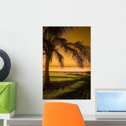 Palm Tree In Mazatlan, Mexico Wall Mural