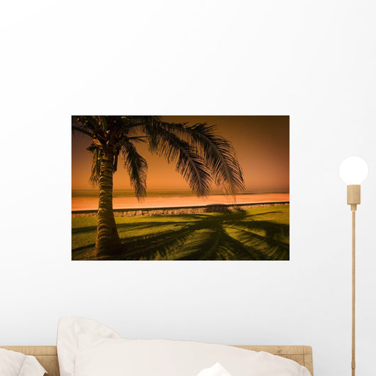 Palm Tree In Mazatlan, Mexico Wall Mural