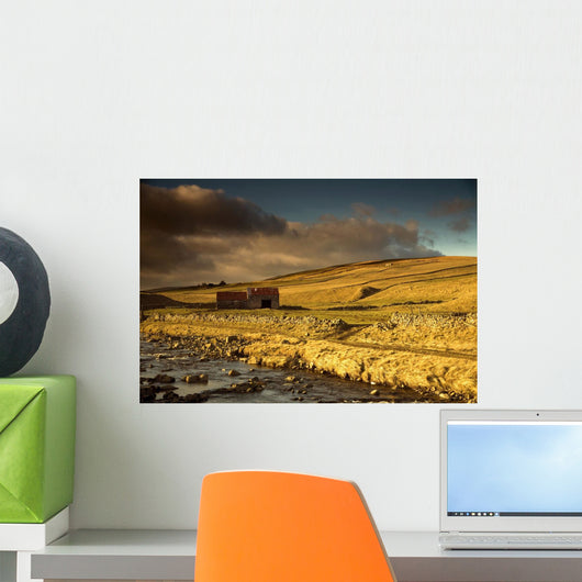 Shed In The Yorkshire Dales, England Wall Mural