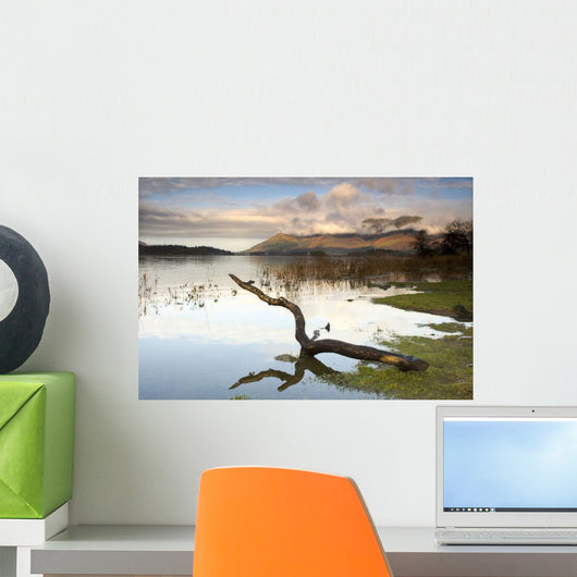 Lake Derwent, Cumbria, England Wall Mural
