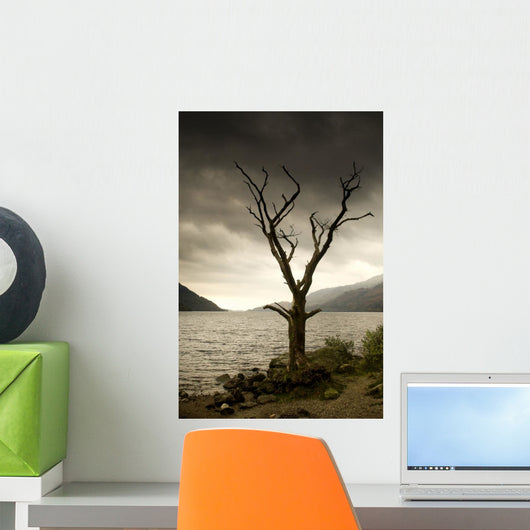 Dying Tree On Shoreline, Loch Lomand, Scotland Wall Mural