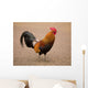 Rooster Wall Mural