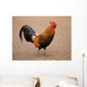 Rooster Wall Mural
