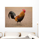 Rooster Wall Mural