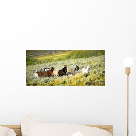 Galloping Horses Wall Mural