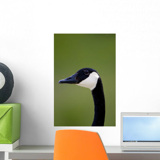 Goose Head Wall Mural