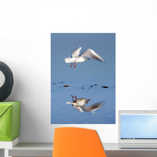 Bird Landing Wall Mural