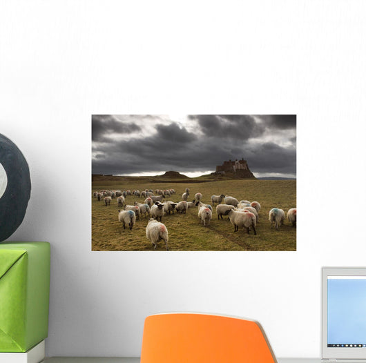 Sheep Grazing By Lindisfarne Castle Wall Mural