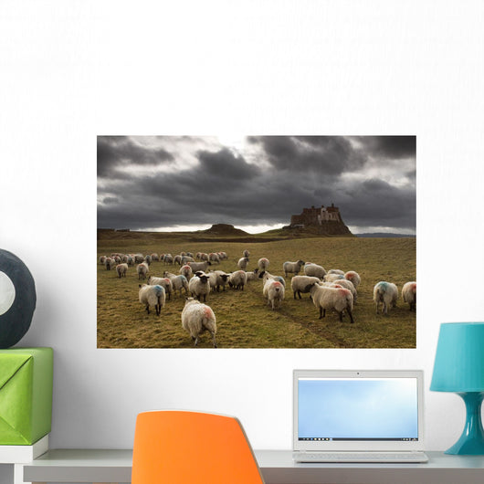 Sheep Grazing By Lindisfarne Castle Wall Mural
