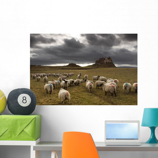 Sheep Grazing By Lindisfarne Castle Wall Mural