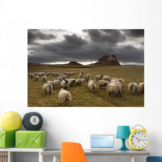 Sheep Grazing By Lindisfarne Castle Wall Mural