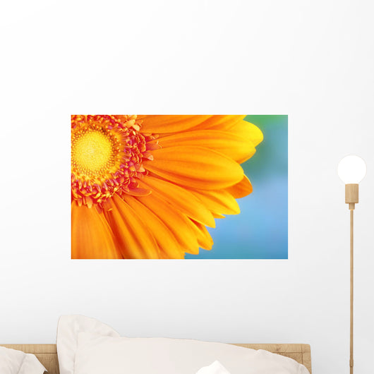 Orange Daisy Wall Mural
