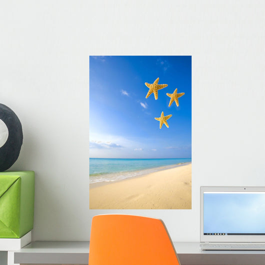 Starfish Falling In Front Of The Ocean Wall Mural