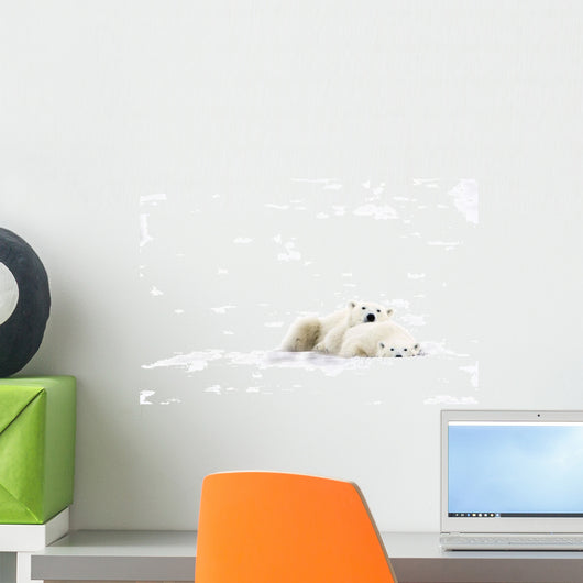 Two Polar Bears Snuggling Wall Mural