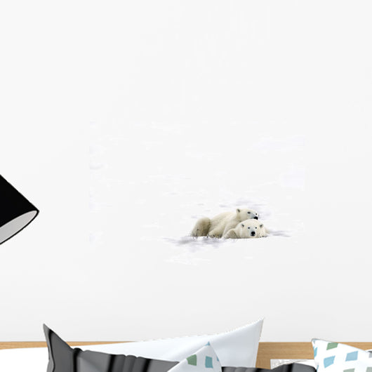 Two Polar Bears Laying Together Wall Mural