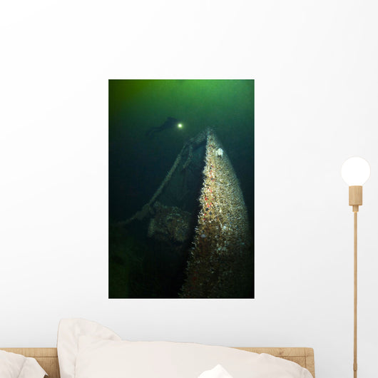 Trans Pacific Shipwreck, Northern British Columbia, Canada Wall Mural