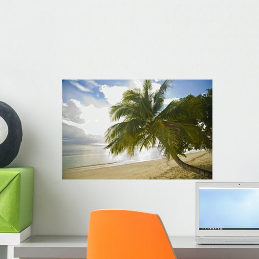 Sipadan Island, Sabah, Malaysian Borneo, Malaysia, Southeast Asia Wall Mural