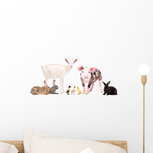Cute Baby Farm Animals Wall Decal Sticker Set