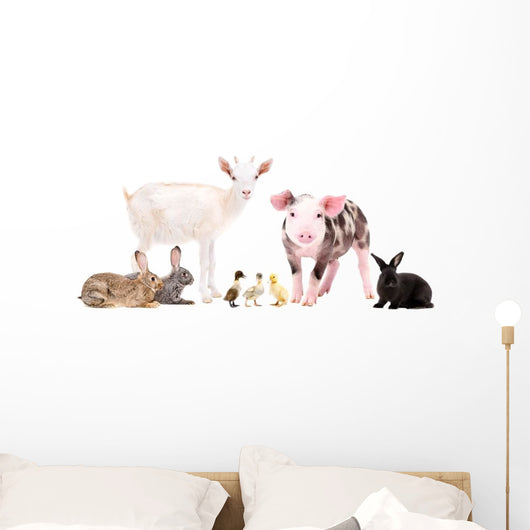 Cute Baby Farm Animals Wall Decal Sticker Set