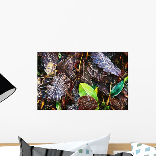 Frozen Oak Leaves, Glenveagh National Park, County Donegal, Ireland Wall Mural