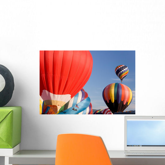 Balloon Festival Wall Mural