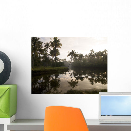 Sunrise And Palm Trees, Kerala, India Wall Mural
