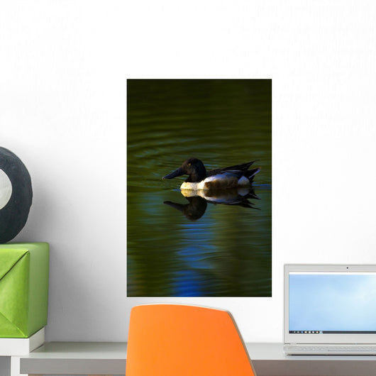 Duck Swimming In The Water Wall Mural