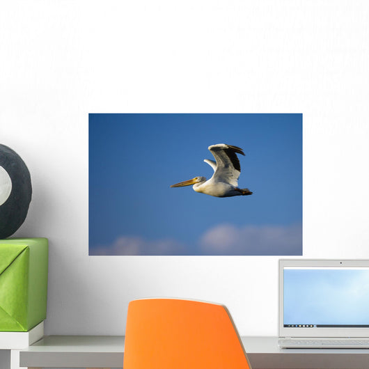 Flying Pelican Wall Mural