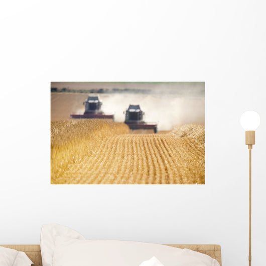 Combines Harvesting Field, North Yorkshire, England Wall Mural
