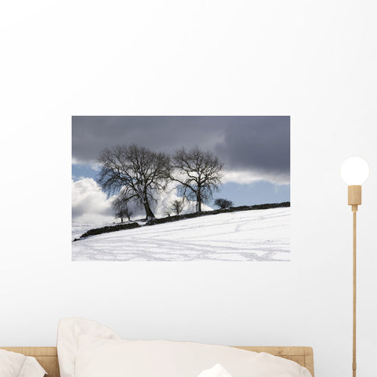 Snowy Field, Weardale, County Durham, England Wall Mural