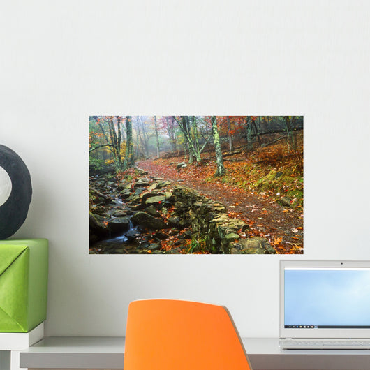 Path Through Forest, Shenandoah National Park, Virginia, Usa Wall Mural