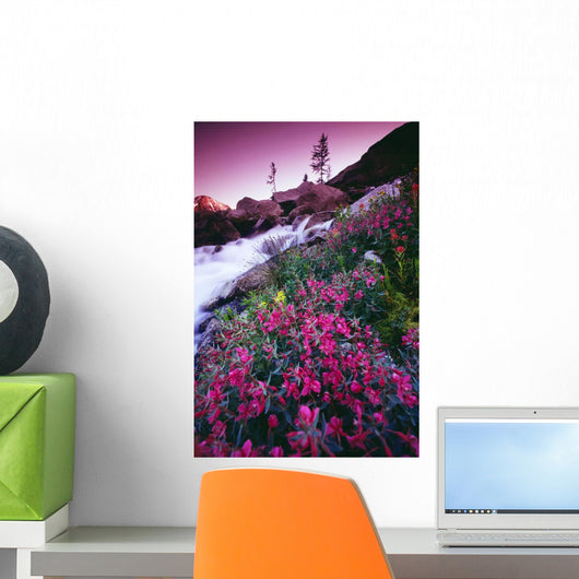Wildflowers, Bugaboo Provincial Park, British Columbia, Canada Wall Mural