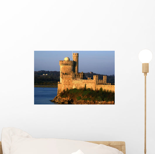 Blackrock Castle, County Cork, Ireland Wall Mural