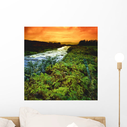 Near Ardragh, Co Donegal, Ireland, River Wall Mural