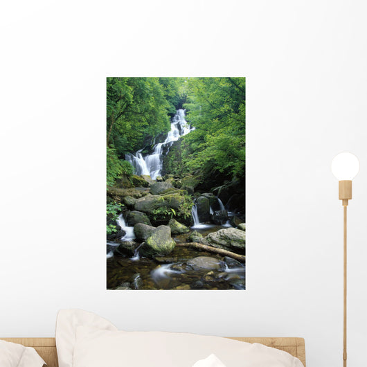 Torc Waterfall, Killarney National Park, County Kerry, Ireland Wall Mural