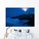 Lighthouse Beacon At Night Wall Mural