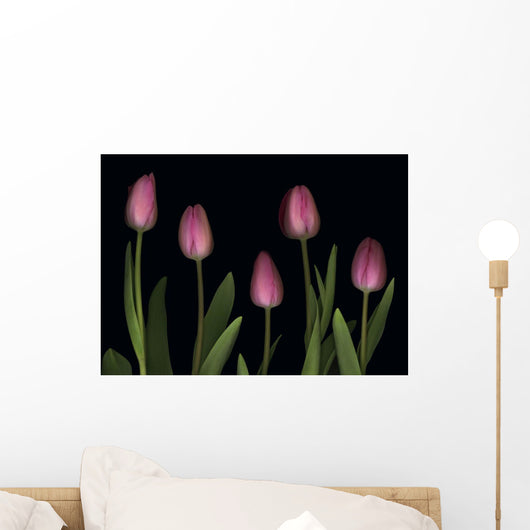 Pink Tulips Wall Mural