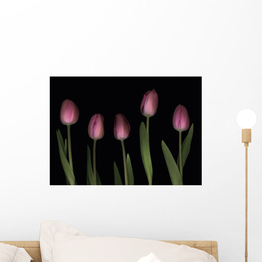 Pink Tulips Wall Mural