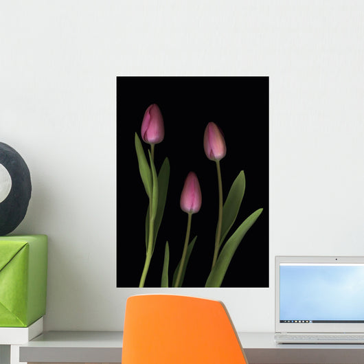 Pink Tulips Wall Mural