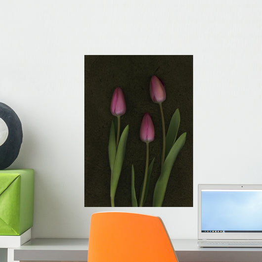 Pink Tulips Wall Mural