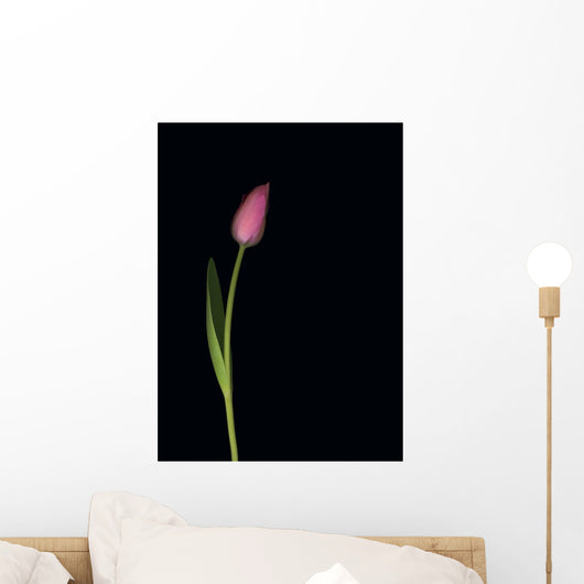 Pink Tulip Wall Mural