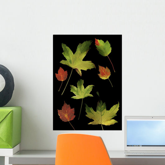 Colorful Autumn Leaves Wall Mural