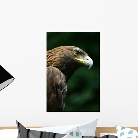 Golden Eagle's Face Wall Mural
