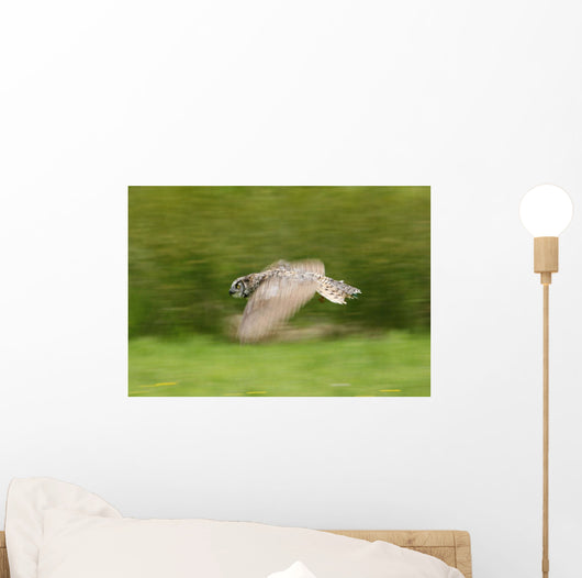 Great Horned Owl Wall Mural