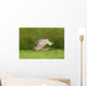 Great Horned Owl Wall Mural