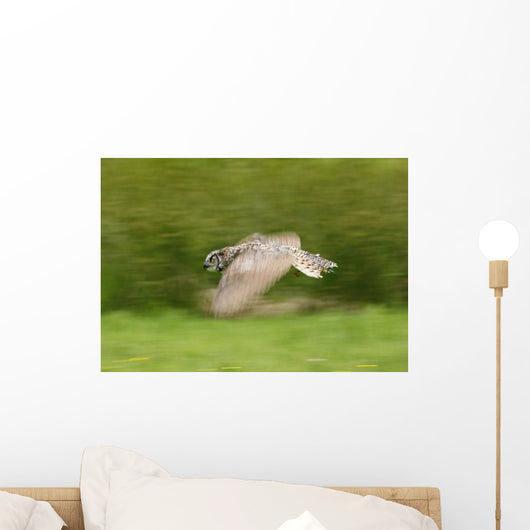 Great Horned Owl Wall Mural