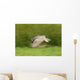 Great Horned Owl Wall Mural
